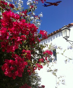 Avión sobre casa canaria