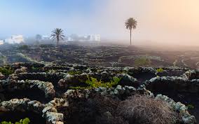 El futuro de nuestras islas está ligado al respeto a nuestro patrimonio natural